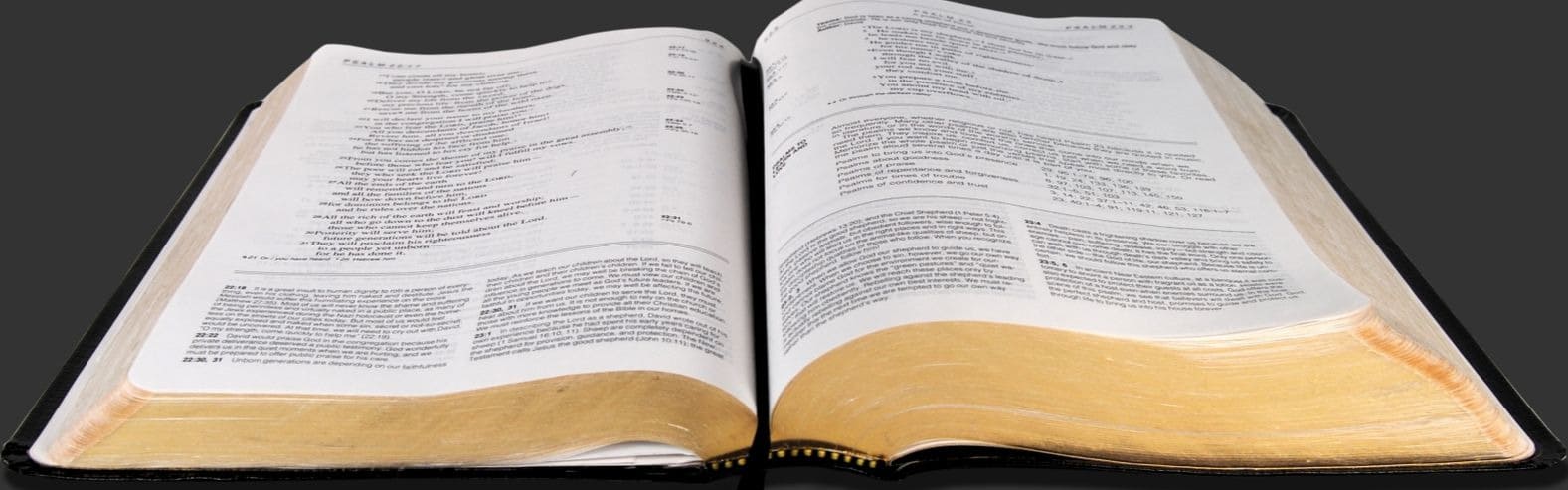 Biblia